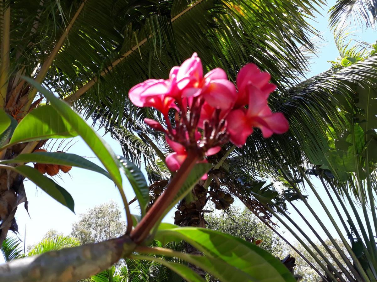 Brahmanhut - Eco Hut Experience In Harmony With Nature, Wellbeing And Spirit Bain Boeuf ภายนอก รูปภาพ
