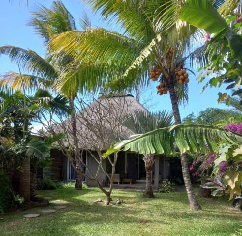 Brahmanhut - Eco Hut Experience In Harmony With Nature, Wellbeing And Spirit Bain Boeuf ภายนอก รูปภาพ