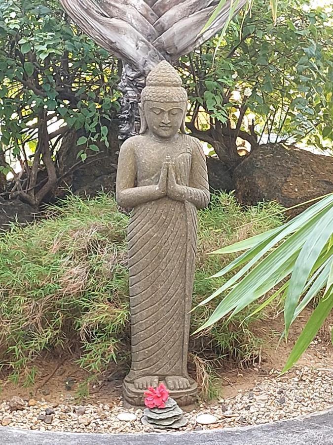 Brahmanhut - Eco Hut Experience In Harmony With Nature, Wellbeing And Spirit Bain Boeuf ภายนอก รูปภาพ